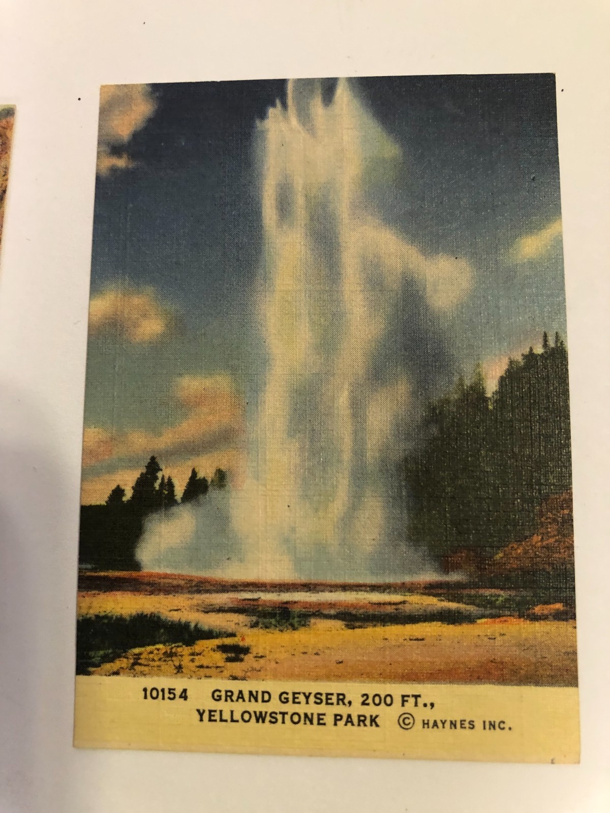 10 Haynes Inc small (2.5 x 3.5) Yellowstone color prints