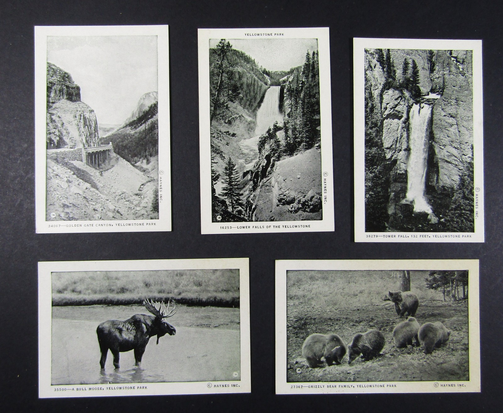 Souvenir Views 1920s pictures 20 Mini YELLOWSTONE National Park Haynes Excellent