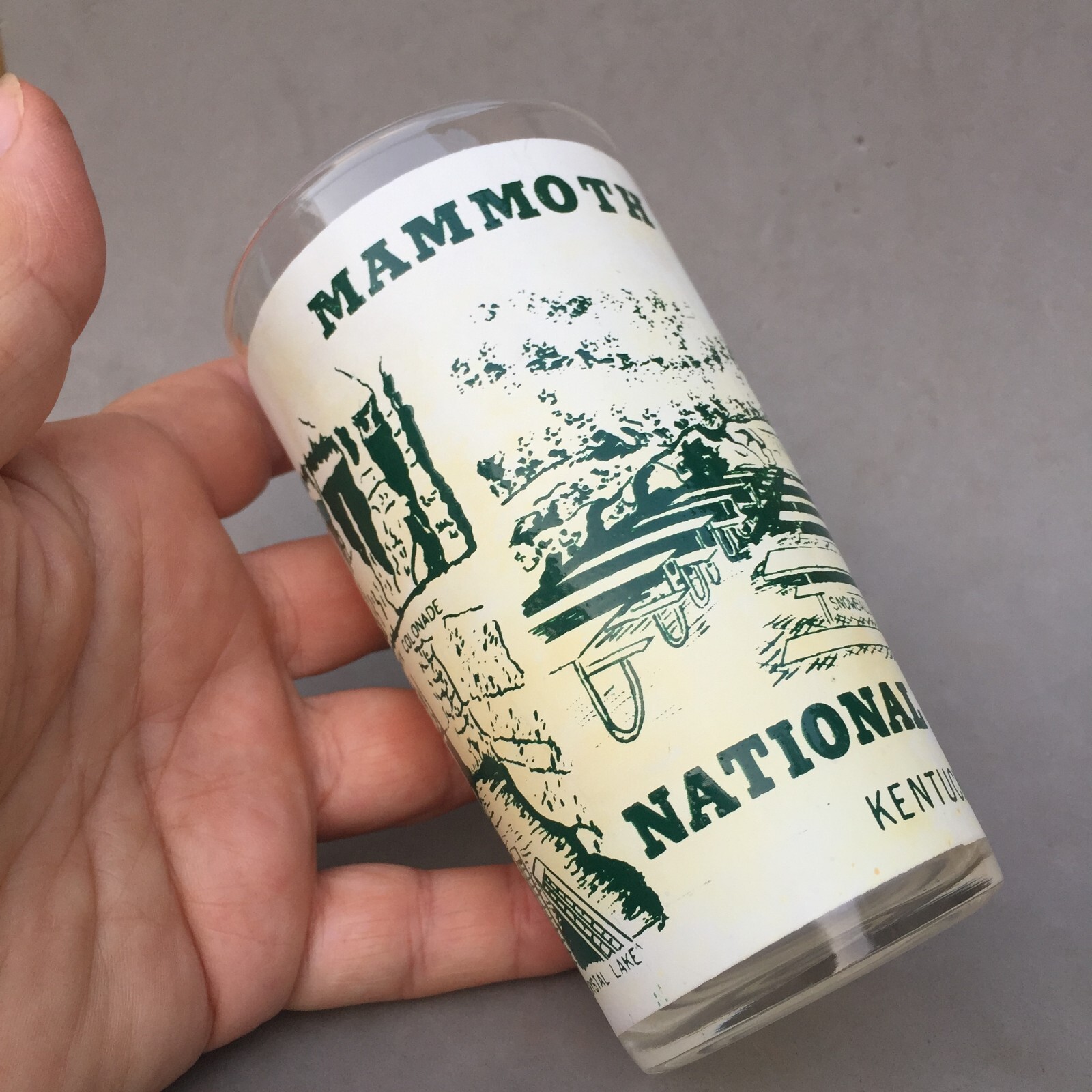 Mammoth Cave National Park Kentucky Souvenir Drink Glass Tumbler Vintage Frosted