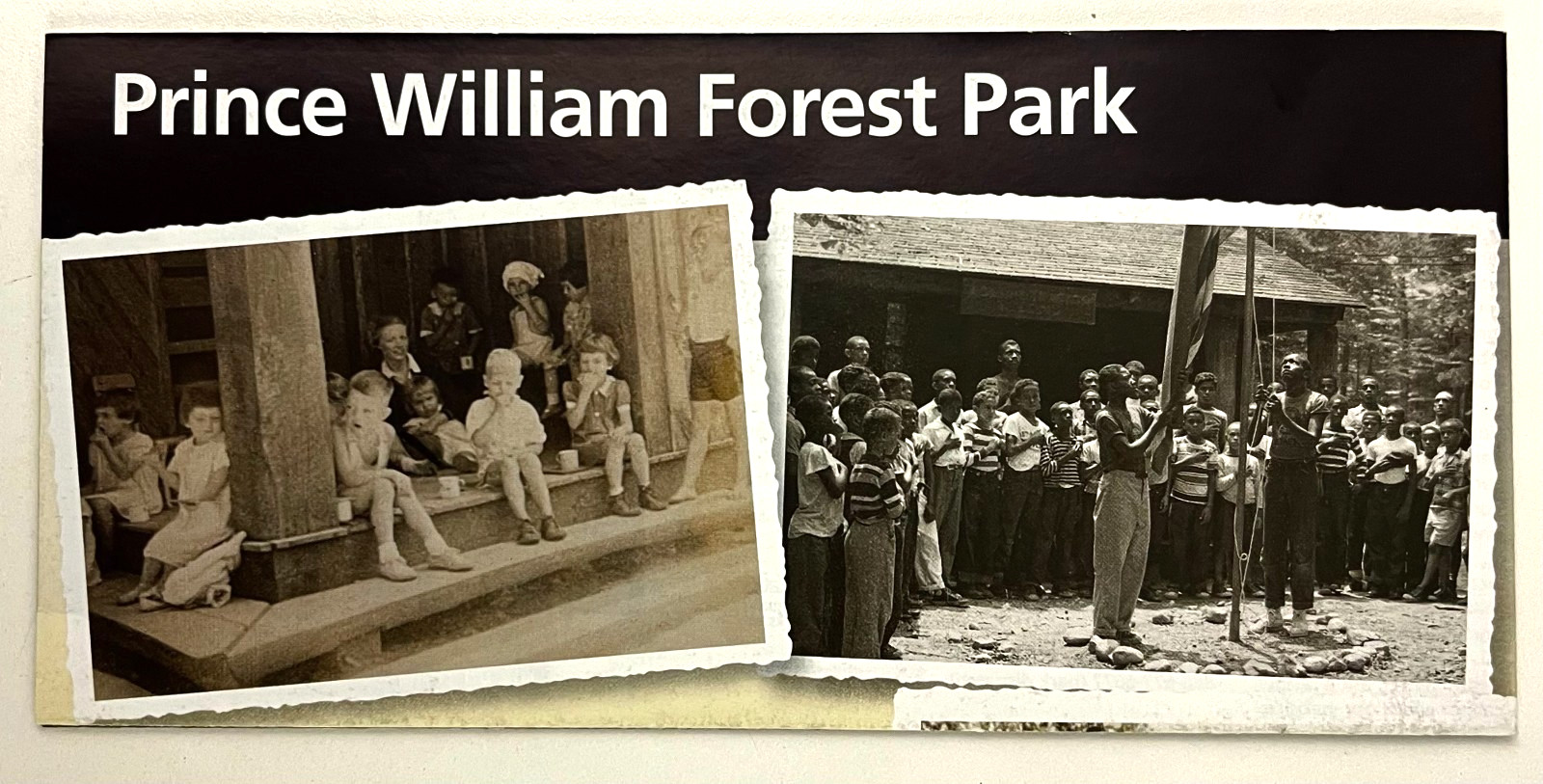2019 Prince William Forest Park Virginia National Park Service Guide Brochure