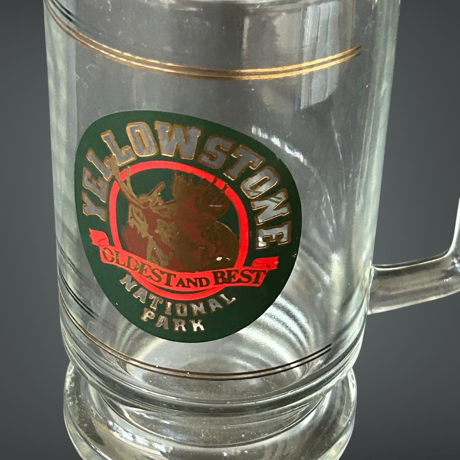 Vintage Yellowstone National Park Oldest And Best Moose Logo 16oz Glass Mug