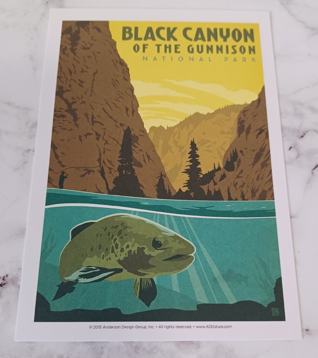 Black Canyon National Parks 100th Anniversary Illustrated Print Post Card