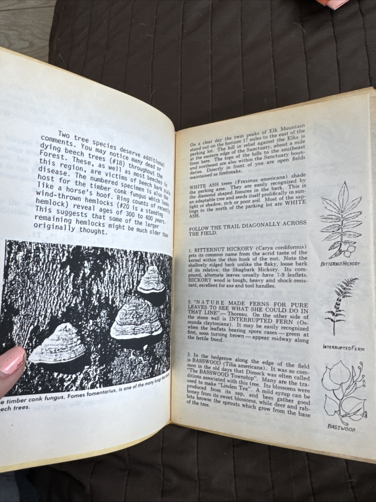 2 Vintage Guides To Nature Trail Guide 1984 Dimock Pa Hike Walk Tour Woodbourne