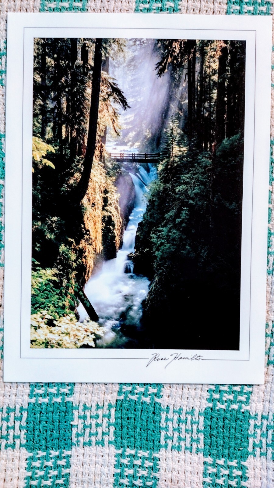 5 x 7 BEAUTIFUL POST CARD SOL DUC FALLS OLYMPIC NATIONAL PARK WA