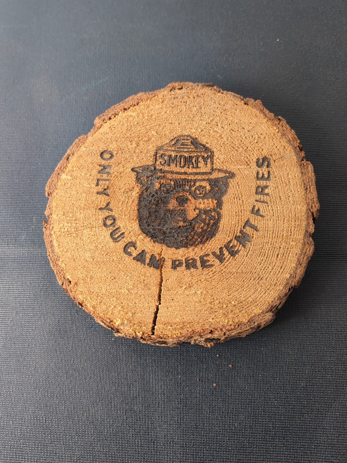 Smokey Bear Only You Can Prevent Forest Fires Wood Plaque Branding