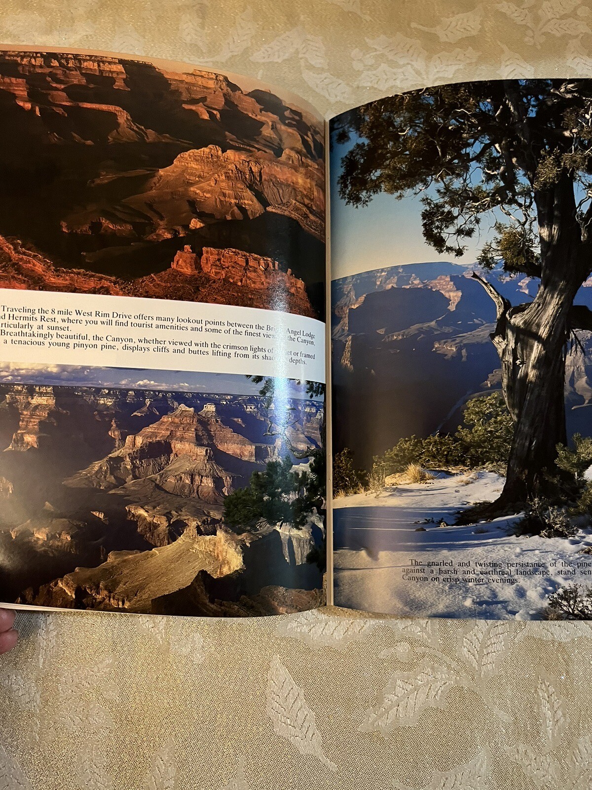 Grand Canyon A Full Color Guide Book