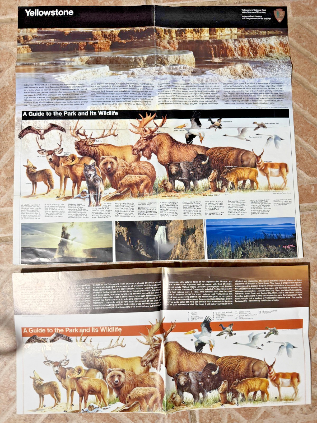 Vintage Yellowstone National Park Map Brochure Wildlife US Dept of Interior x 2!
