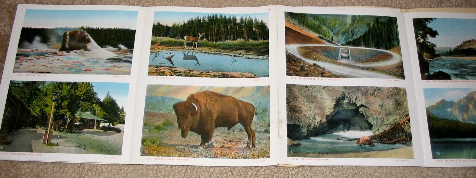 Early Haynes Souvenir Book of Yellowstone National Park Vintage Gems Brochure