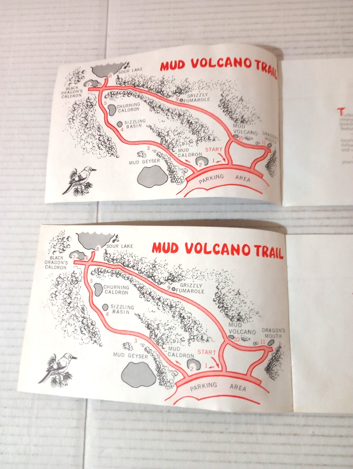 2x Yellowstone National Park Historic Pamphlet Mud Volcano Trail 1977 Geyser WY