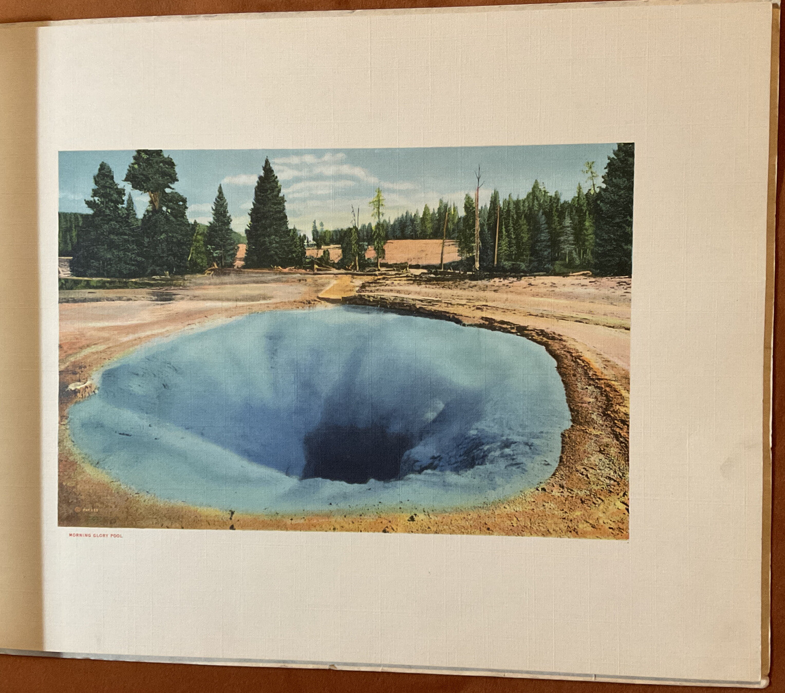 VINTAGE Yellowstone National Park Haynes Picture Shops Souvenir Booklet/Pic’s￼
