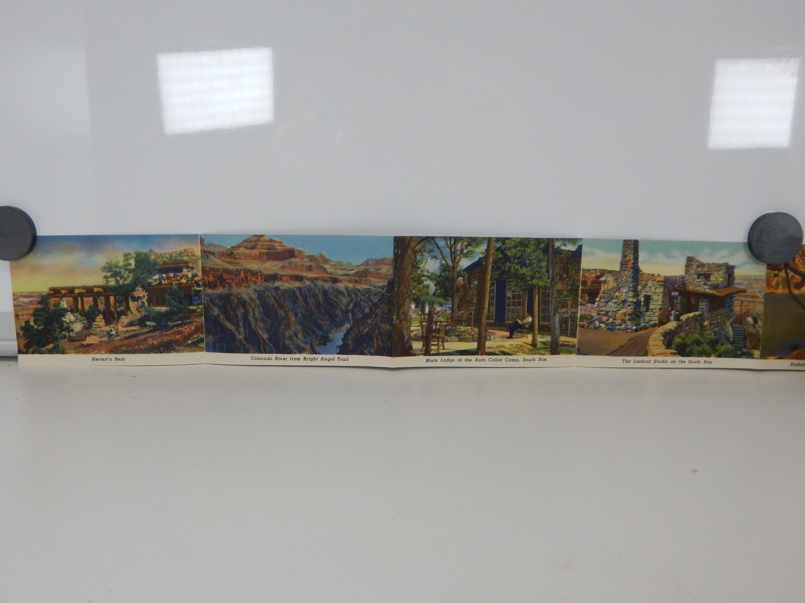 Vintage Grand Canyon National Park Souvenir Picture Booklet 1951