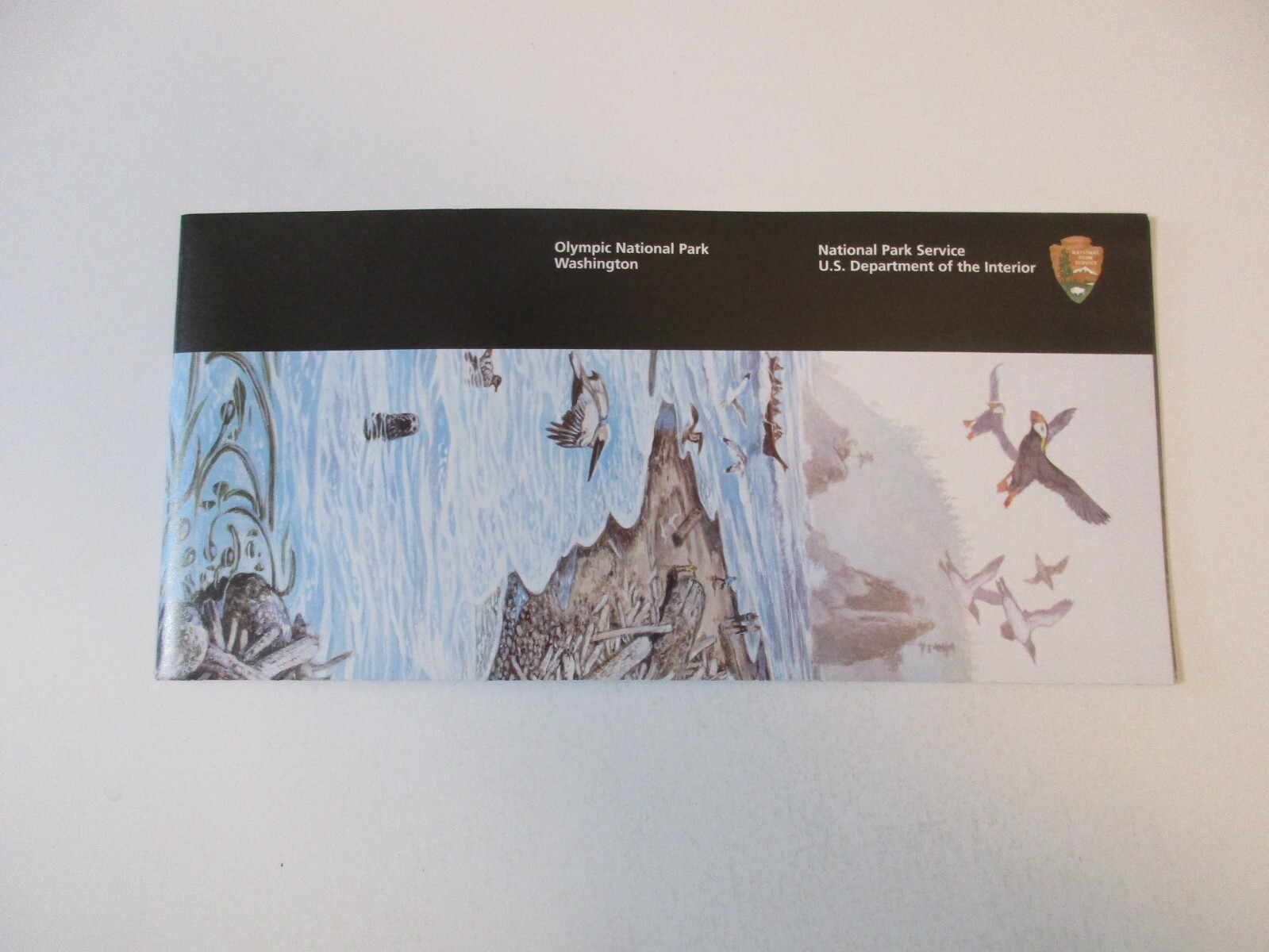 2020 Olympic Washington National Park System Brochure Map Guide~B24