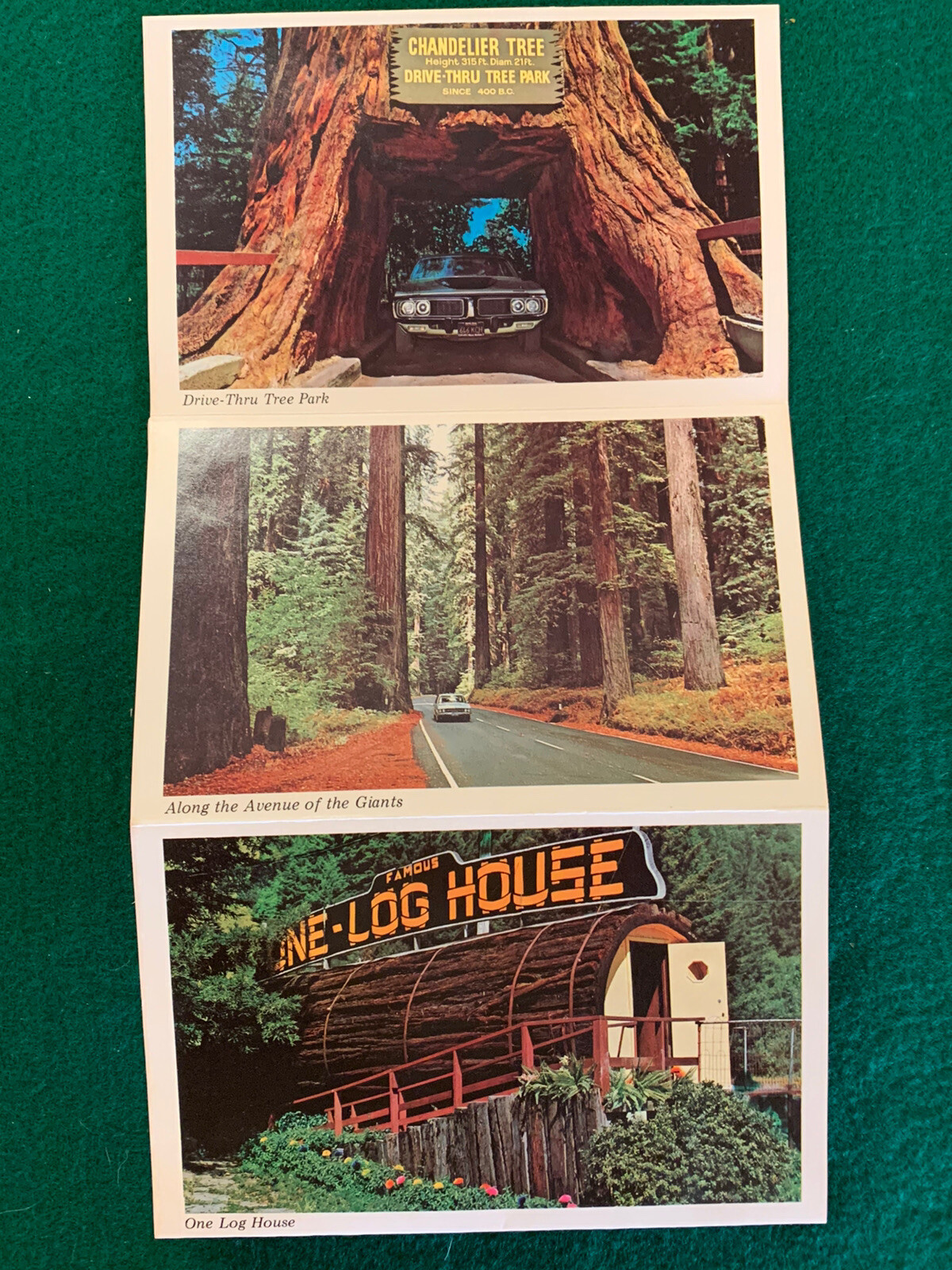 Vintage 1977 The Redwoods and Californias North Coast