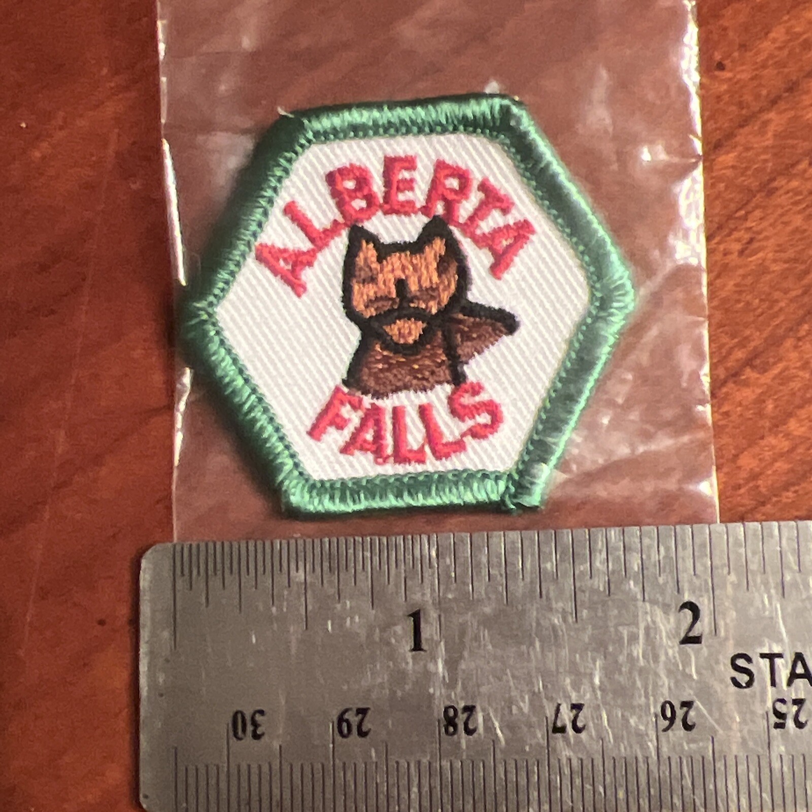 Alberta Falls CO Rocky Mountain National Park Trail Tag 1972 Patch Vintage NOS