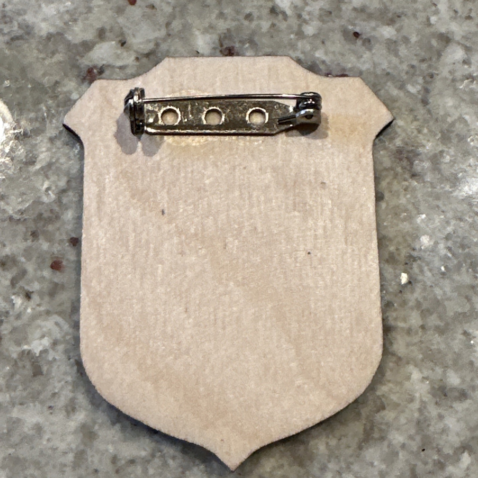 Gettysburg National Military Park Junior Ranger Badge Civil War Pin NPS