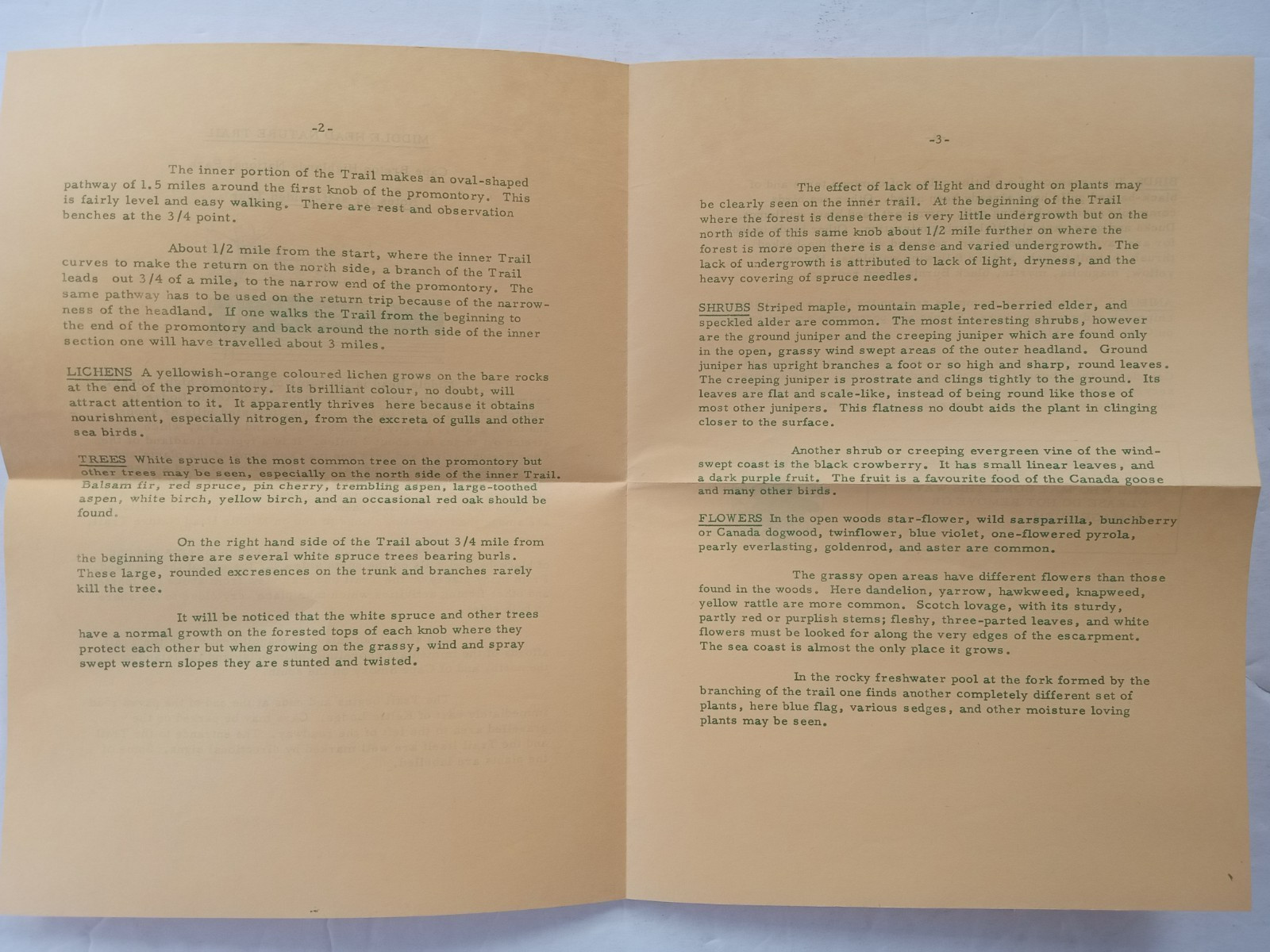 Cape Breton Highlands National Park 1968 MIDDLE HEAD NATURE TRAIL Pamphlet