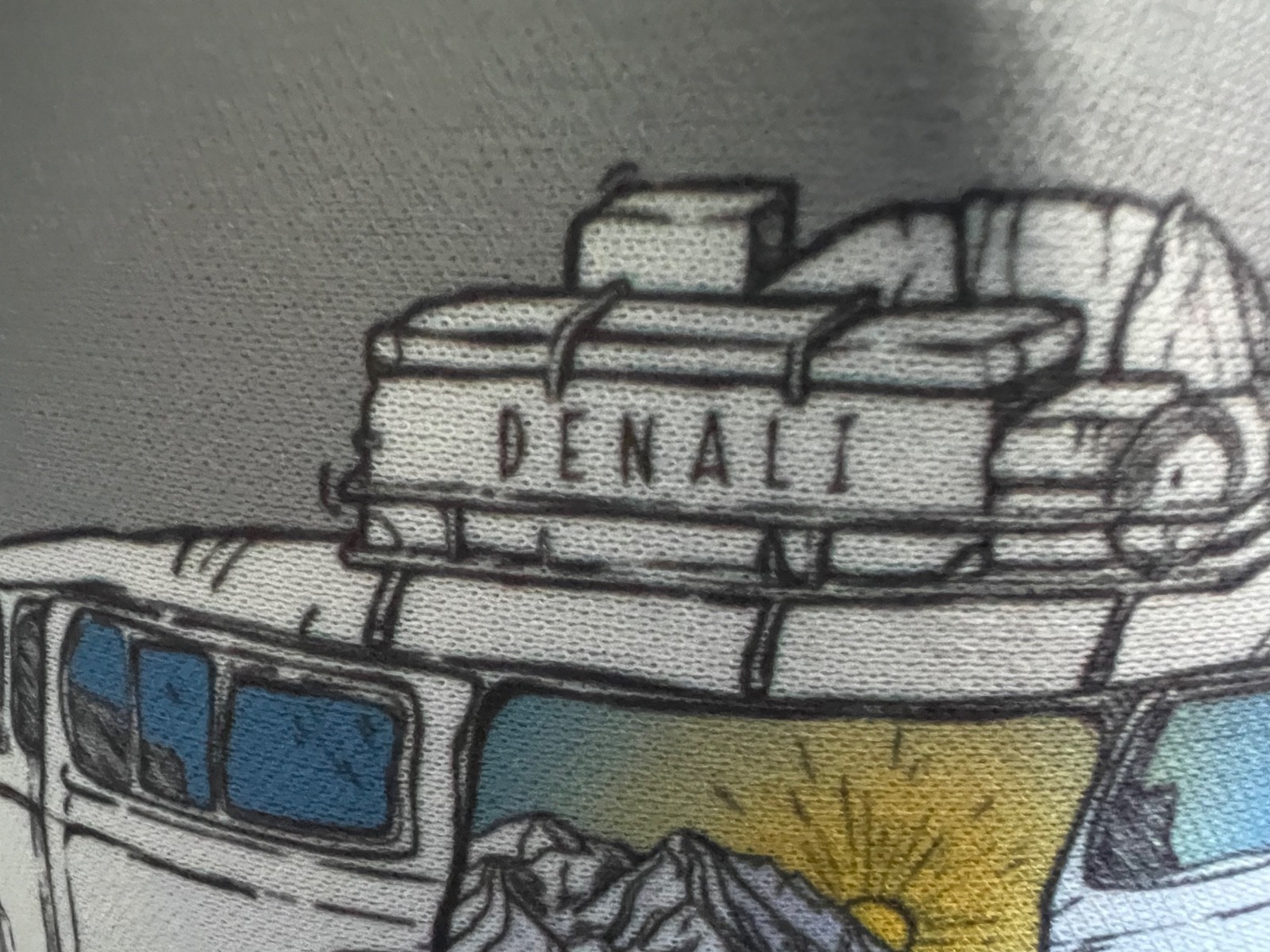 DENALI NATIONAL PARK Wild Tribute Fun Bus Baseball Hat Cap