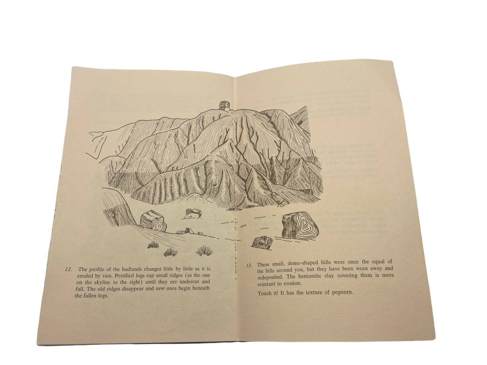 Vintage Arizona Blue Mesa Petrified Forest National Monument Booklet Brochure
