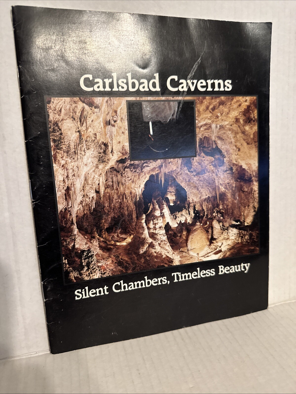 Vintage 1981 Carlsbad Caverns National Park Tourist Magazine Guide Soft Book