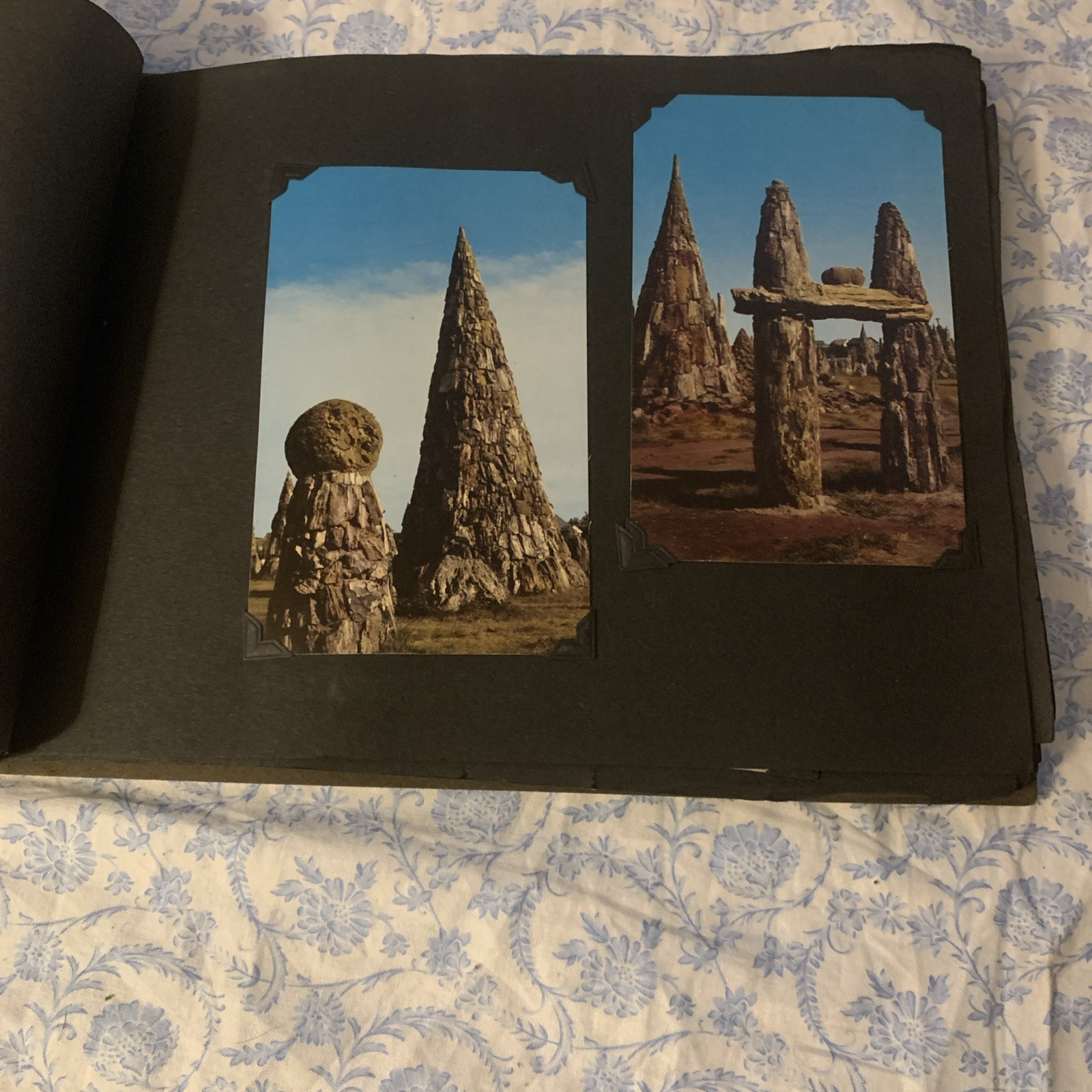Yellowstone National Park & Western Trip Leather Photo Album W/RPC’s