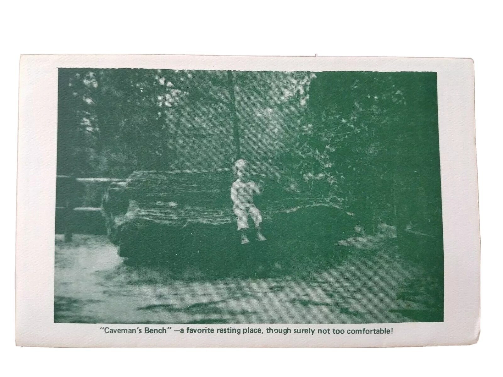 Vintage Travel Guide: Mississippi Petrified Forest Nature Trail