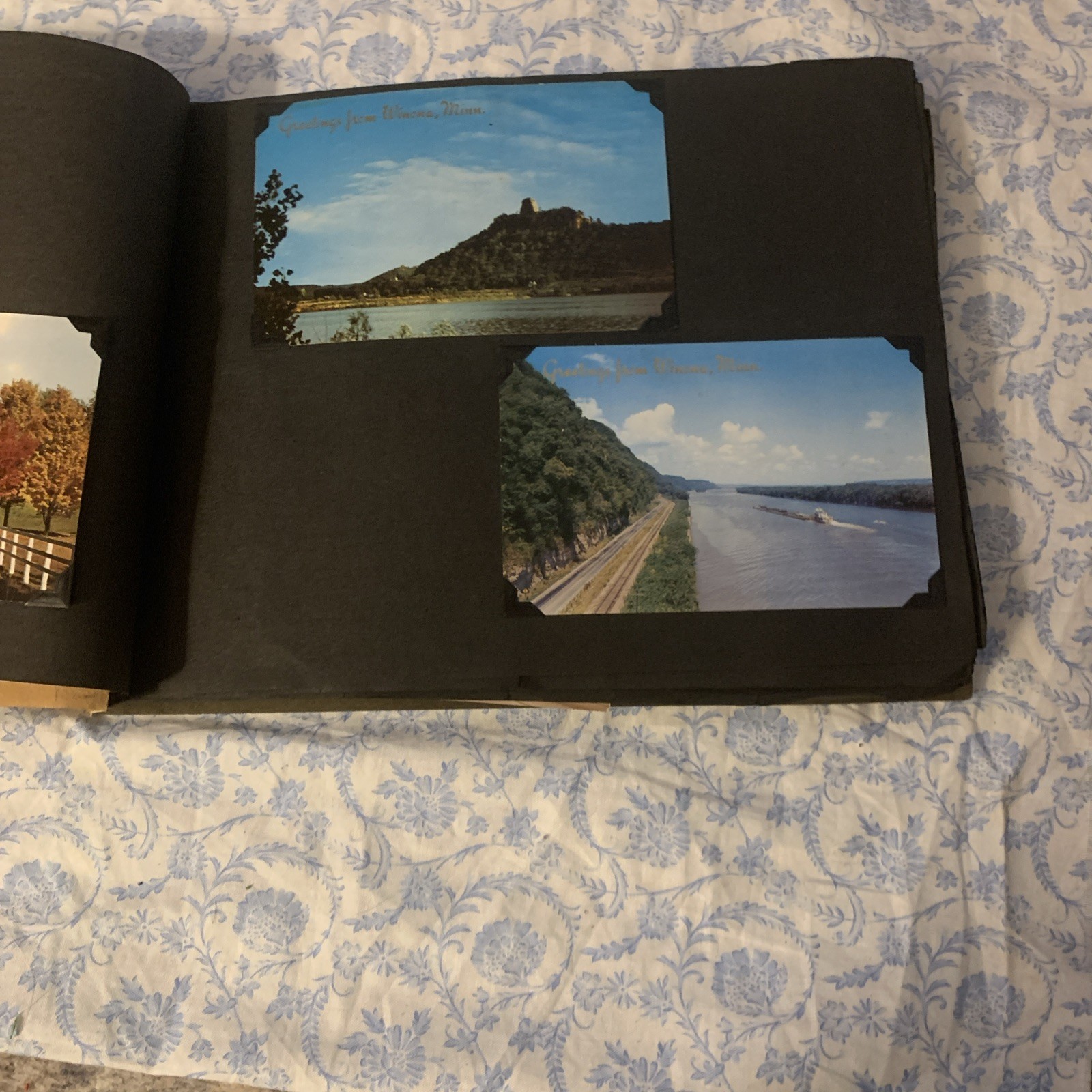 Yellowstone National Park & Western Trip Leather Photo Album W/RPC’s