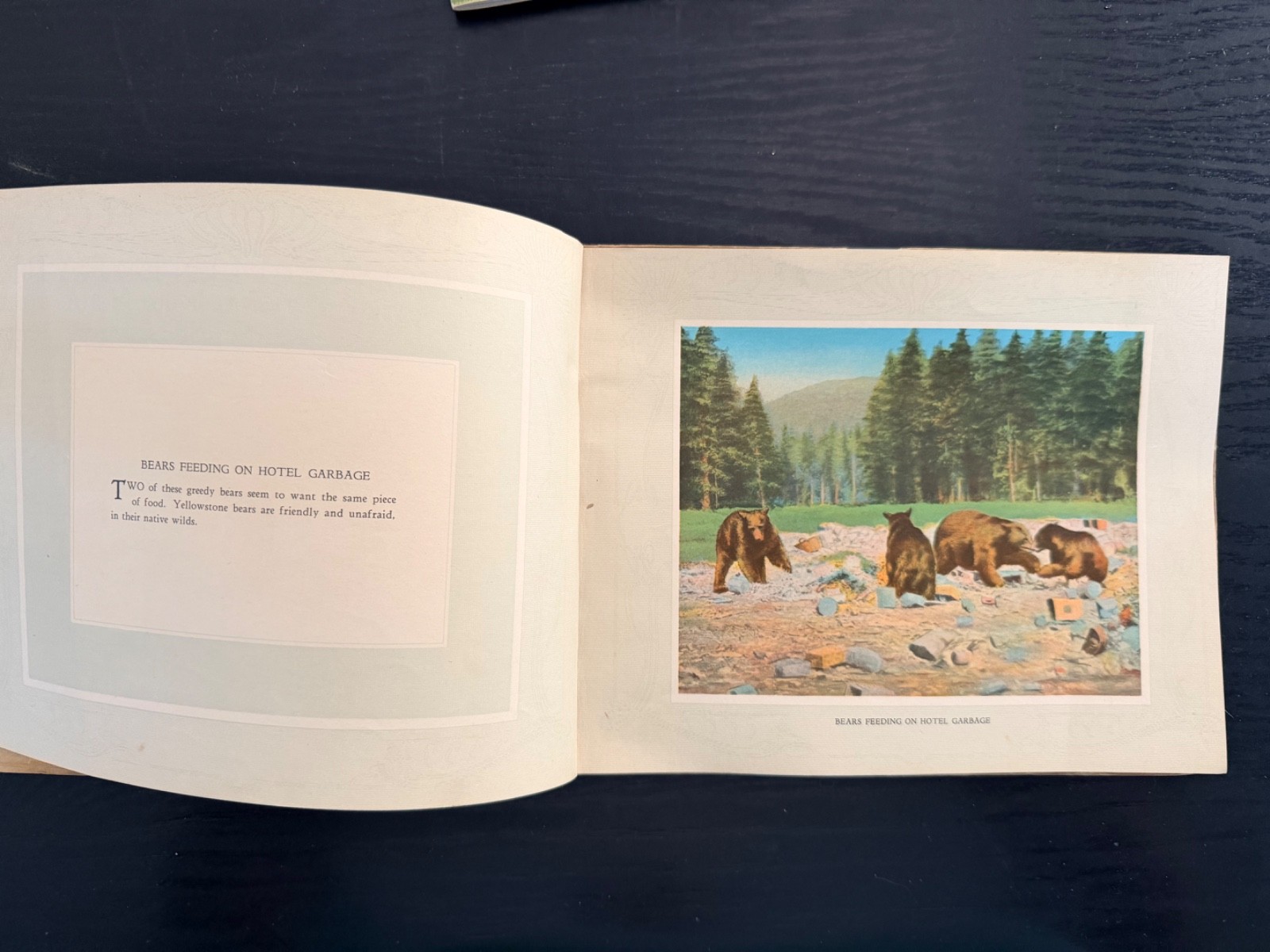 Vintage Yellowstone National Park Ephemera Mixed Lot! Maps~Postcards~Souvenirs++