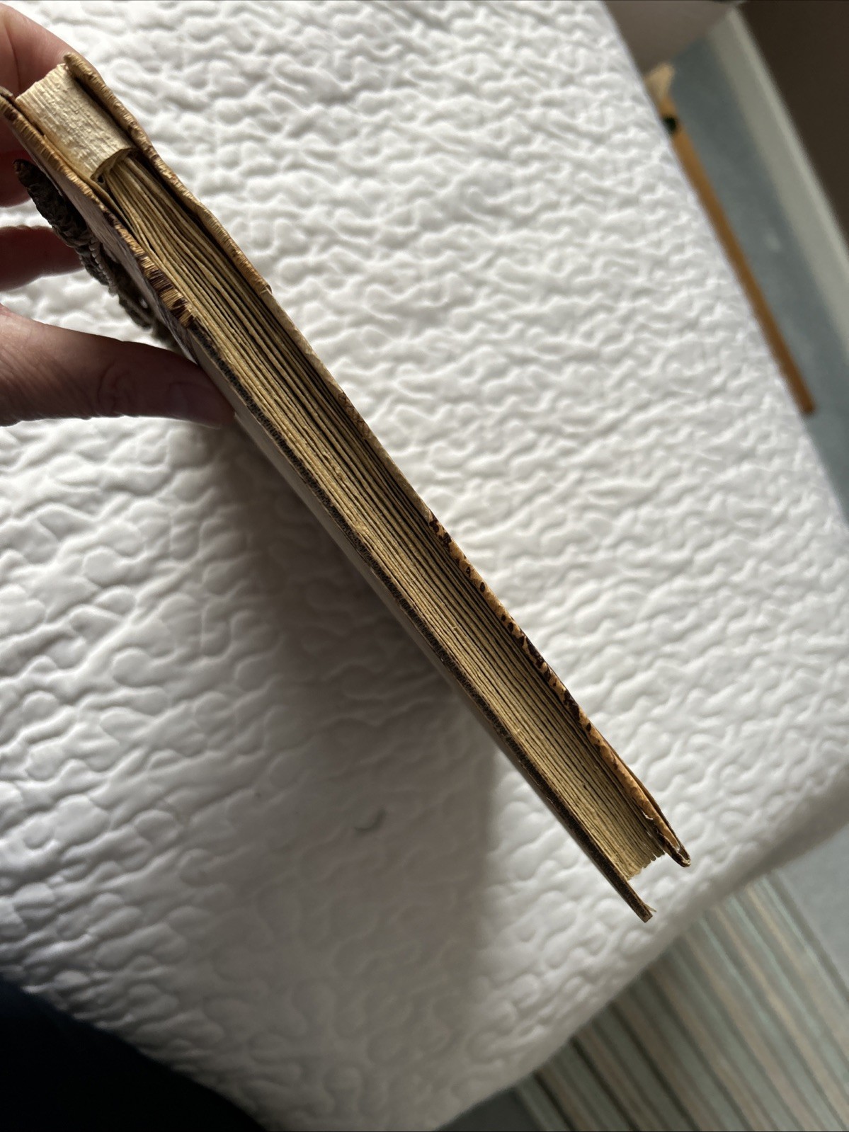 Yellowstone Souvenir Photo Album Rustic Wood Bark Bear 10 Pages 40 Pics NEW