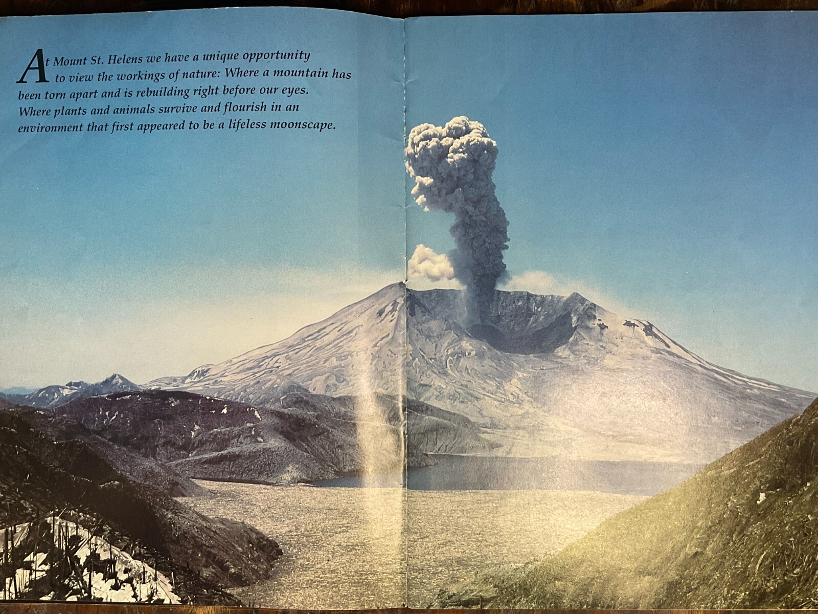 1985 Mount St. Helens: The Story Behind the Scenery by Thom Corcoran