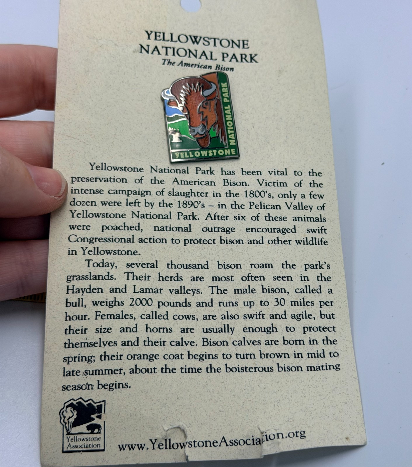 Yellowstone National Park Buffalo Bison Wyoming Lapel Pin Travel Association