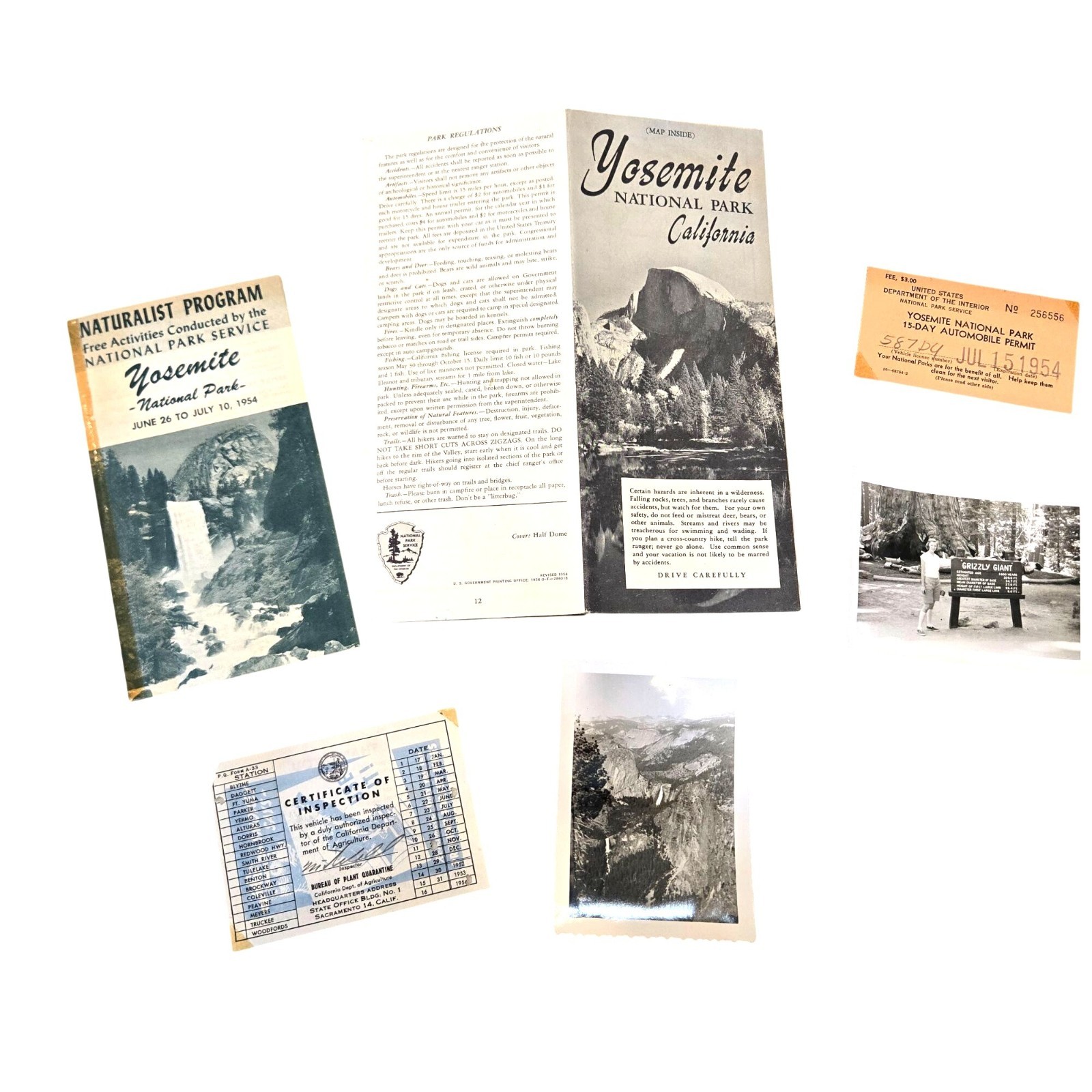 Yosemite National Park 1954 Naturalist Program Brochure Pictures Ephemera Lot
