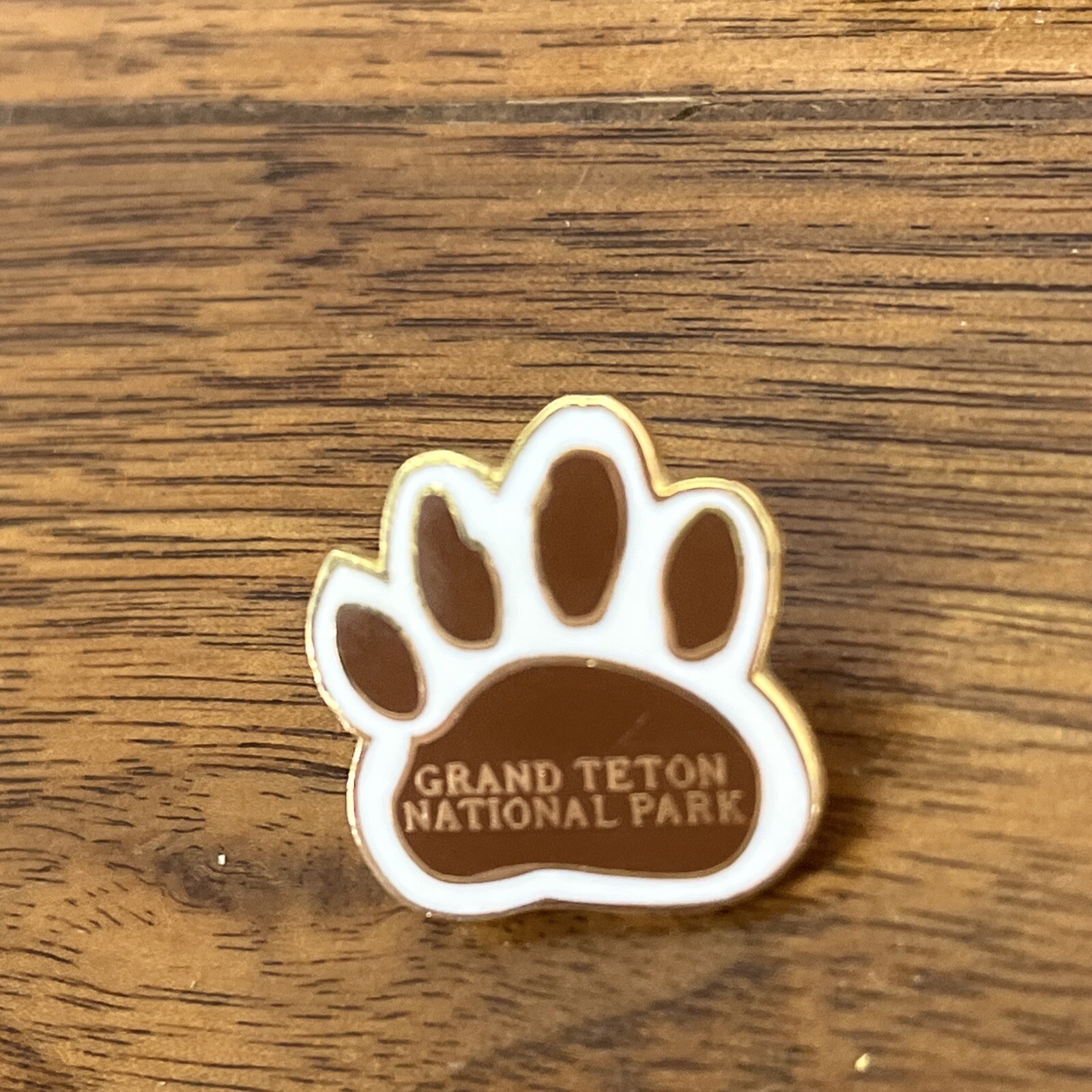 Grand Teton National Park Tourist Travel Souvenir Collector Pin Wyoming Outdoor