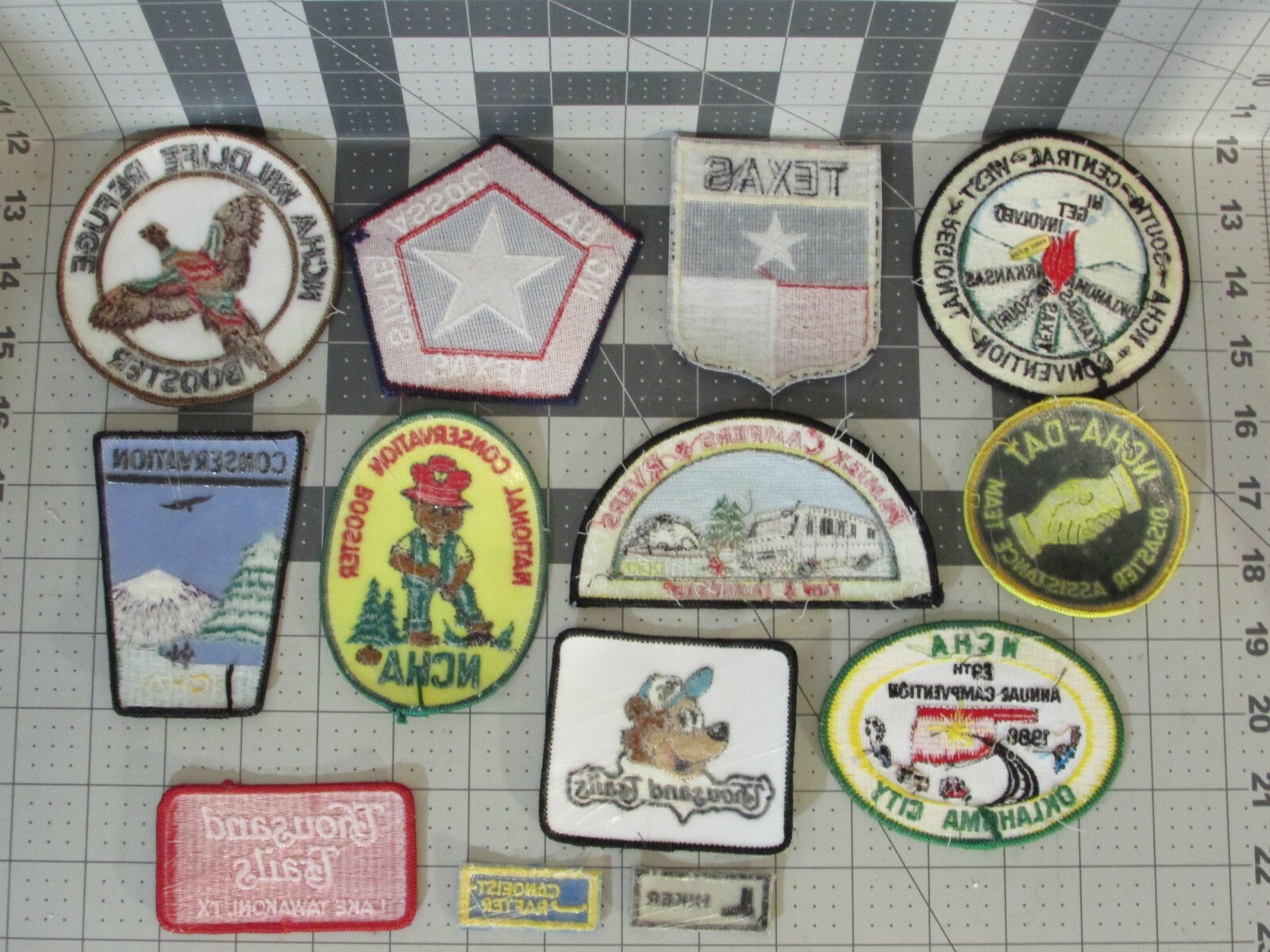13 PATCHES NCHA Conservation Disaster Convention Texas Hiker Disaster Campers ++