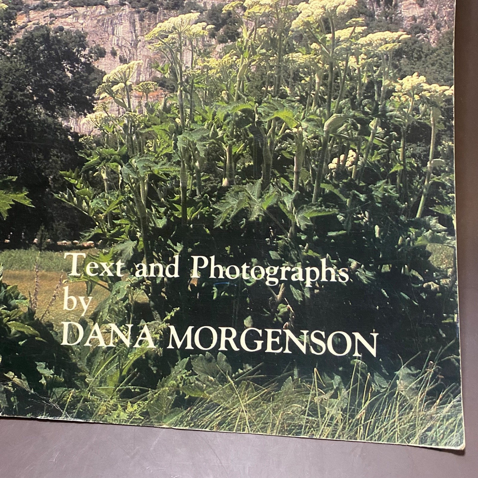 The Four Seasons of Yosemite Photos and Text by Dana Morgenson 1978