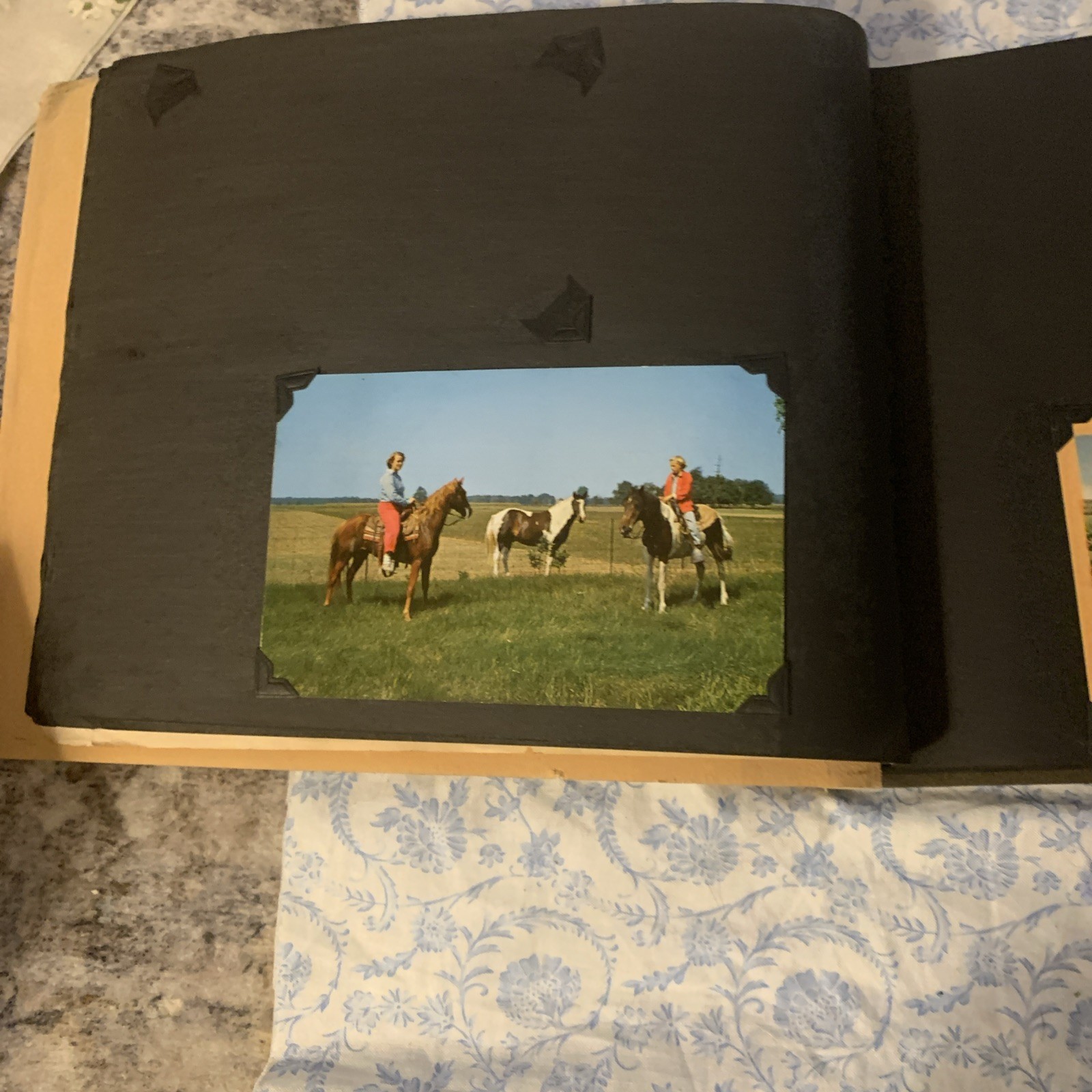 Yellowstone National Park & Western Trip Leather Photo Album W/RPC’s