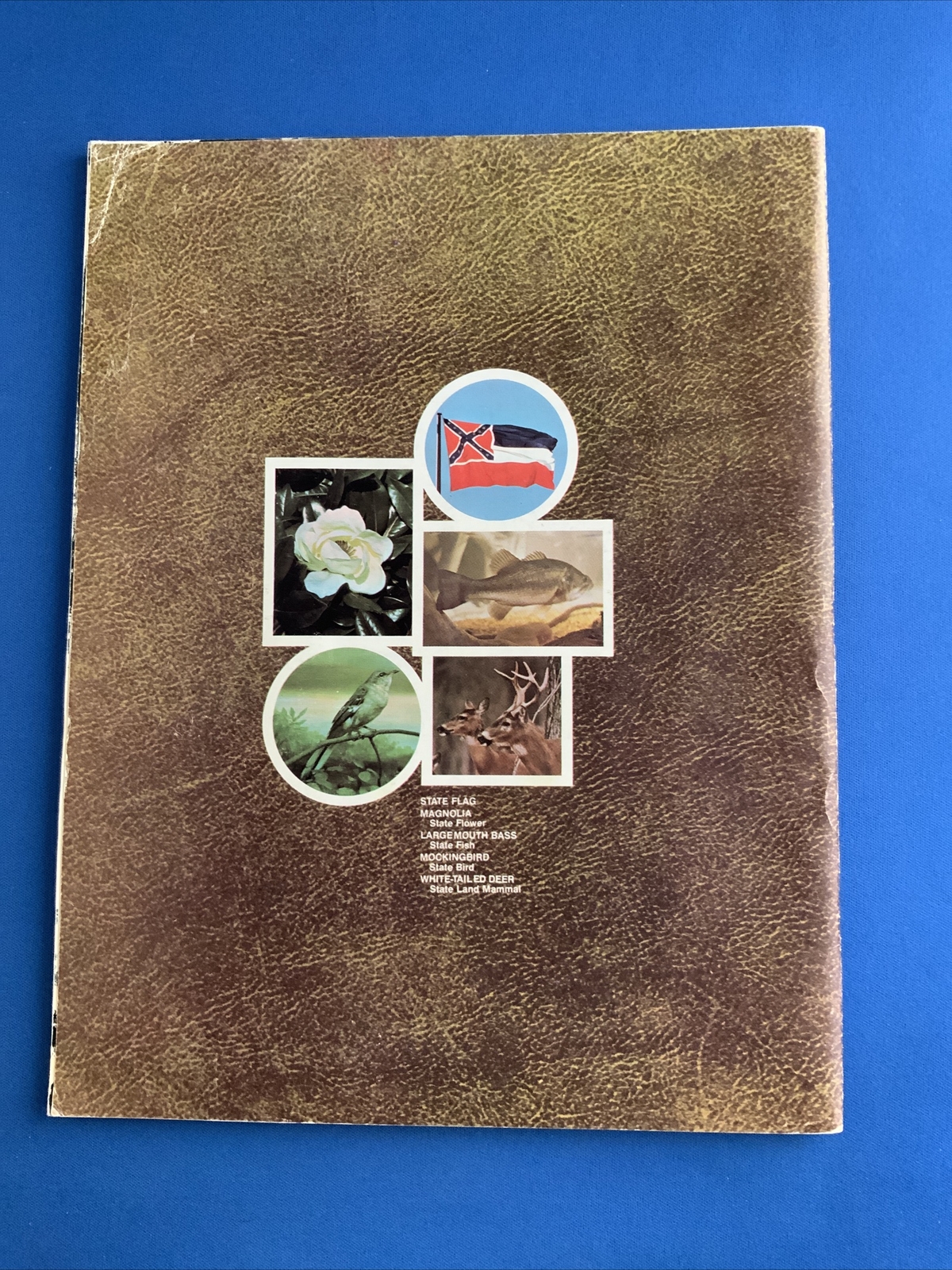 Mississippi Your Guide To Travel … Vintage