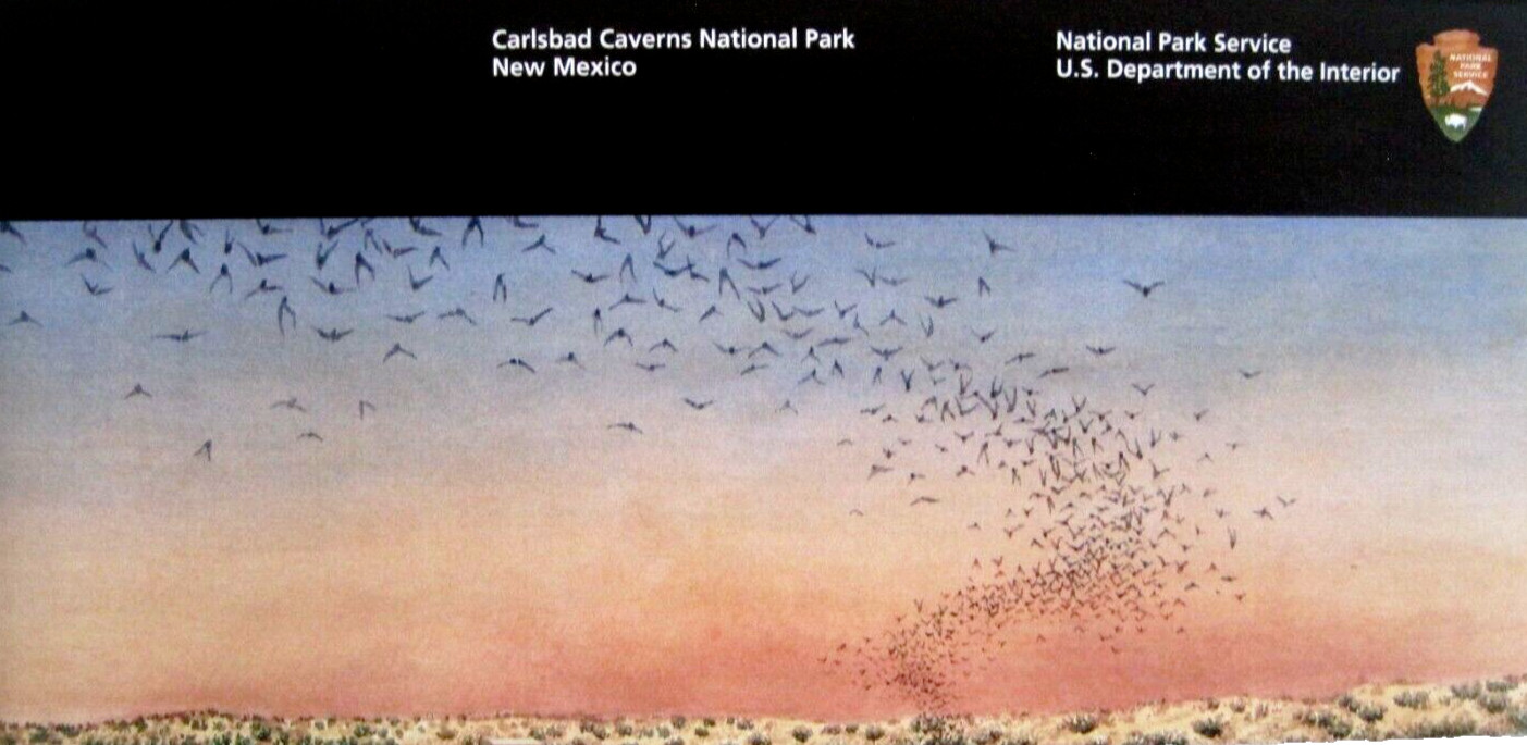 Carlsbad Caverns National Park National Park Service New Mexico Unigrid Brochure