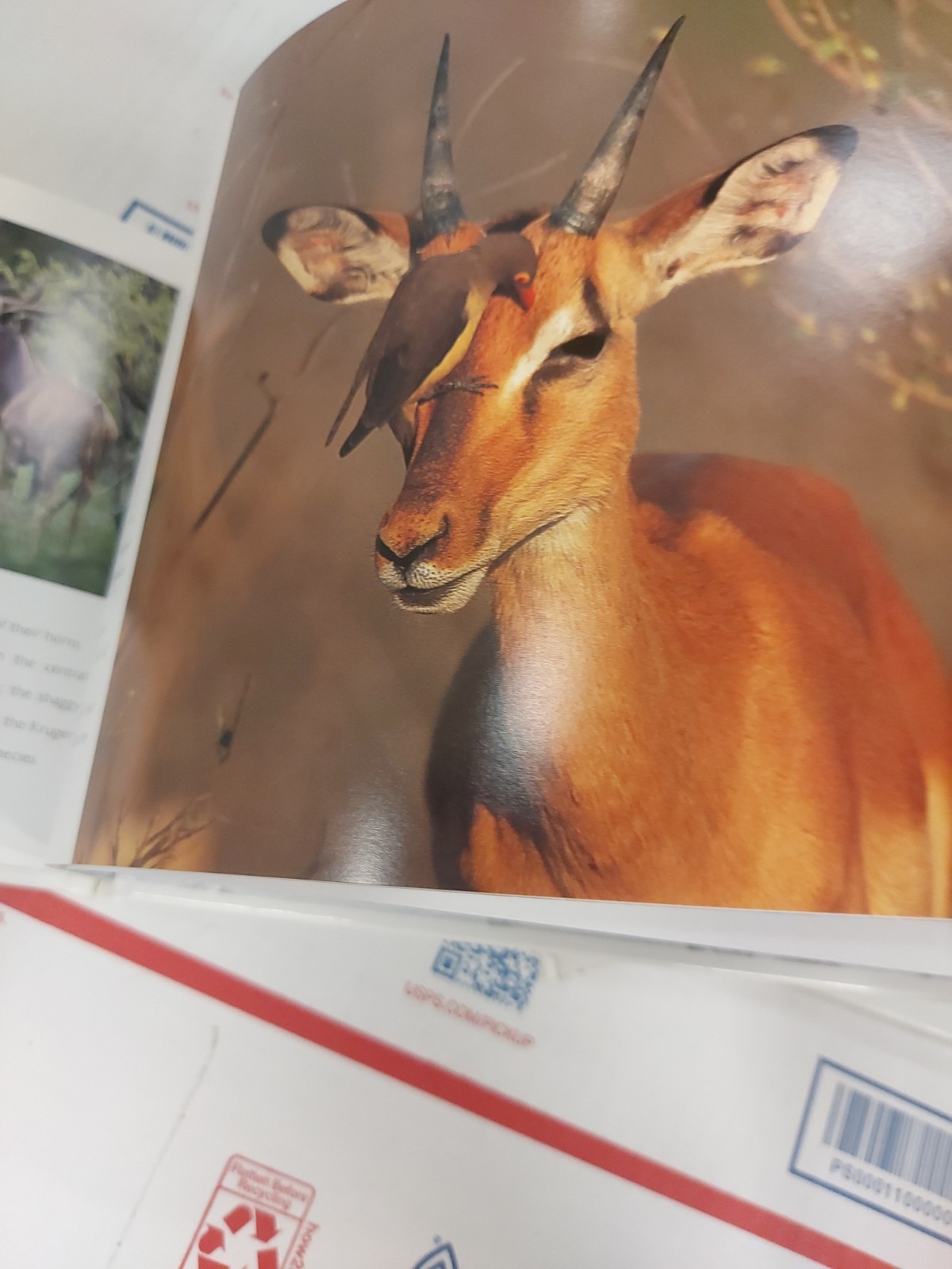 Kruger National Park South Africa Book Land Of contrast People Southern Africa