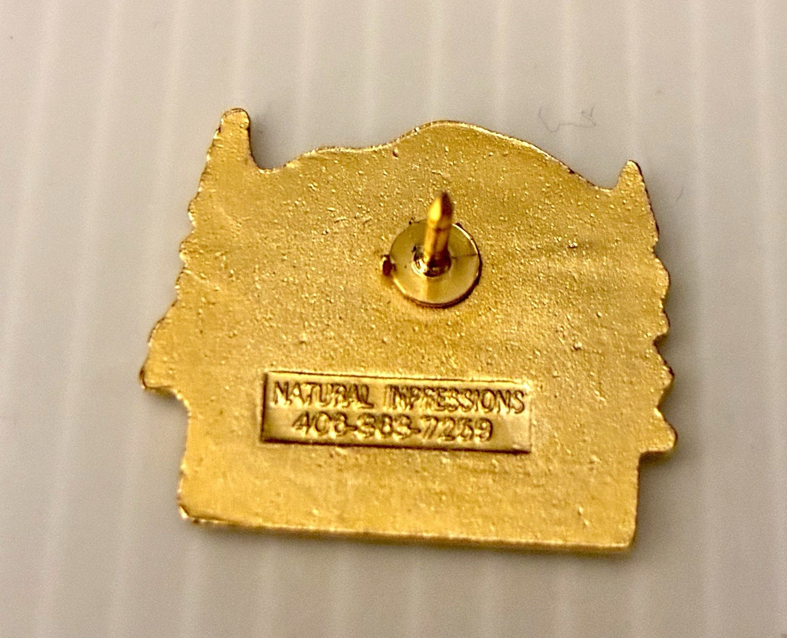 Mount Rainier National Park Lapel Pin Scenic Mountain Souvenir Enamel Mt Vintage
