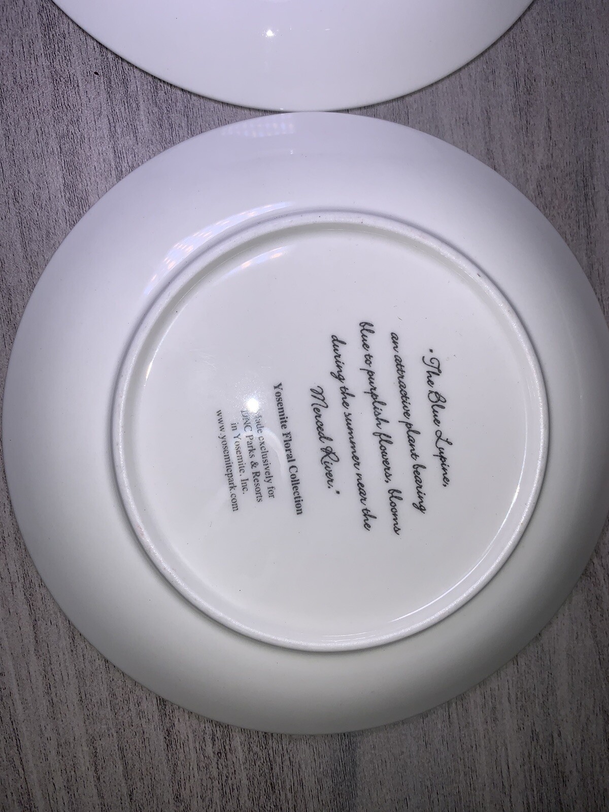 YOSEMITE FLORAL DESSERT PLATES: SET OF 4 YOSEMITE DNC PARKS AND RESORTS 6” NIB