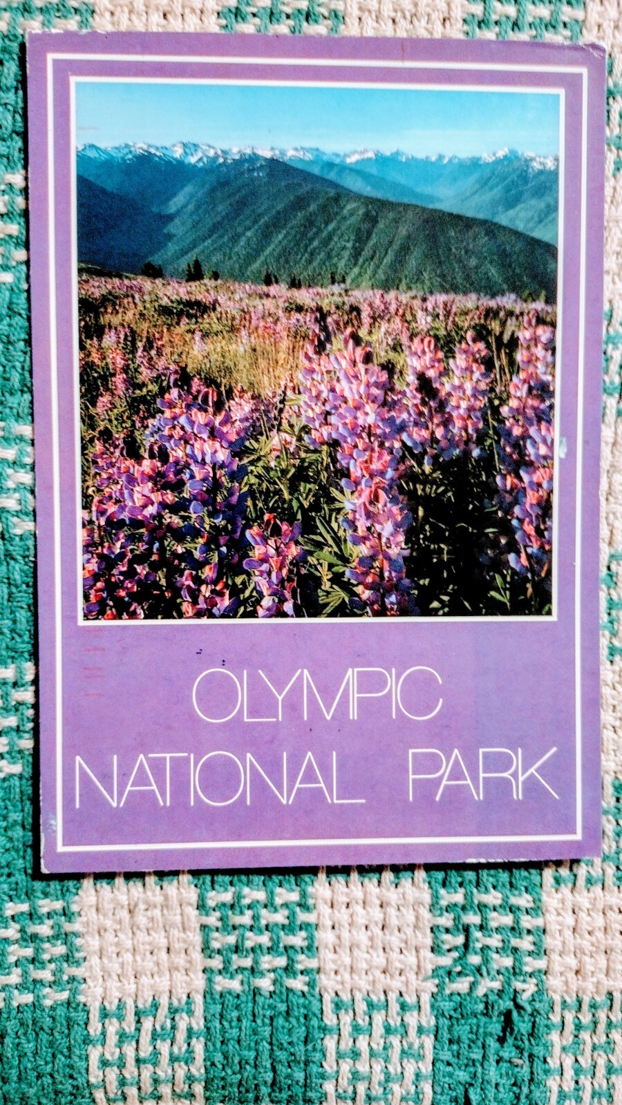 BEAUTIFUL POST CARD OLYMPIC NATIONAL PARK WASHINGTON PACIFIC NORTHWEST