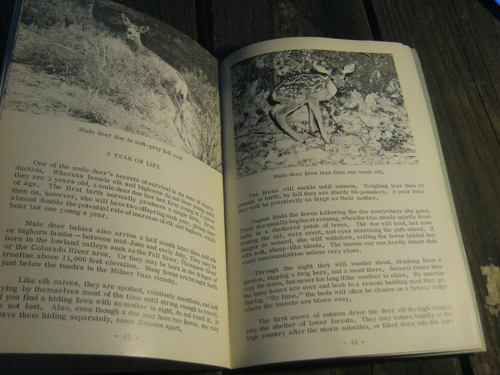 1968 Bighorn Elk and Deer Rocky Mountain National Park book Julie & Roger Contor