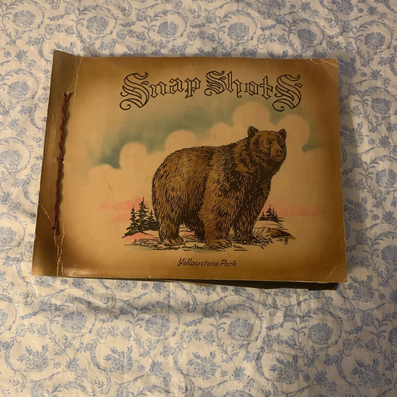 Yellowstone National Park & Western Trip Leather Photo Album W/RPC’s