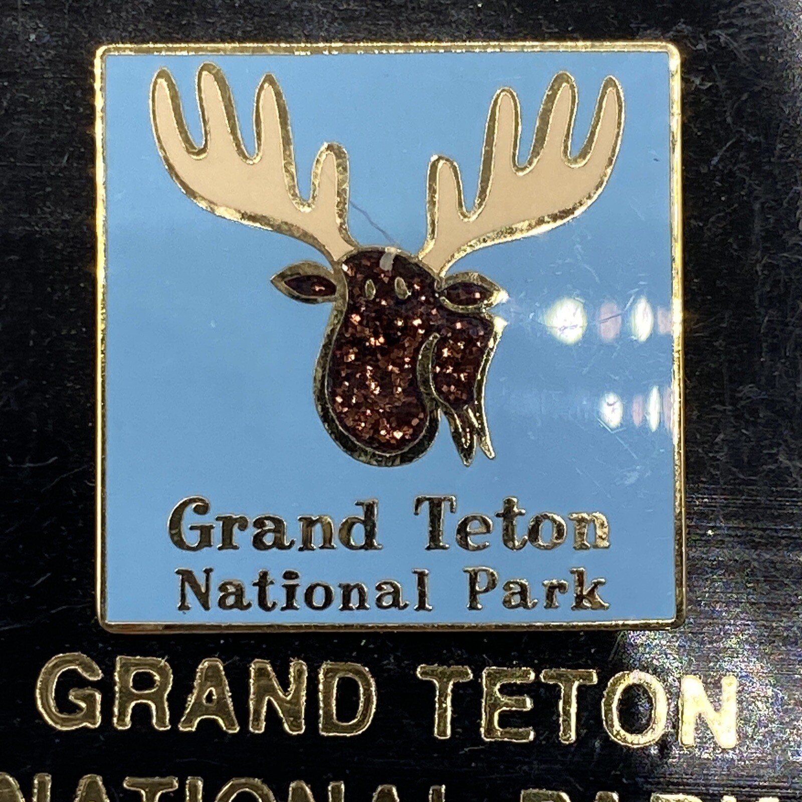 Vintage Pin Grand Teton National Park Moose sparkle Travel Souvenir animal