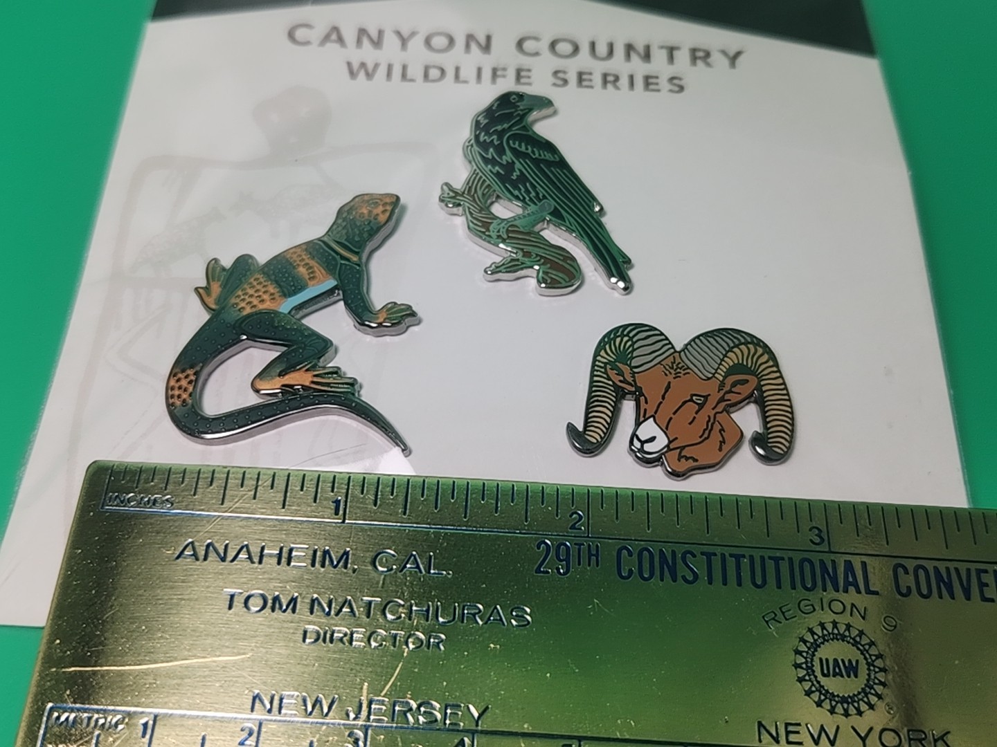 Canyonlands National Park Utah Canyon Country Desert Wildlife Pin Raven Lizard