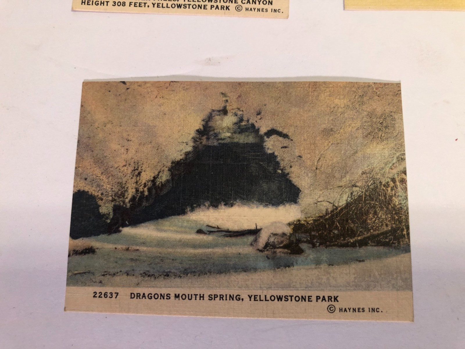 10 Haynes Inc small (2.5 x 3.5) Yellowstone color prints