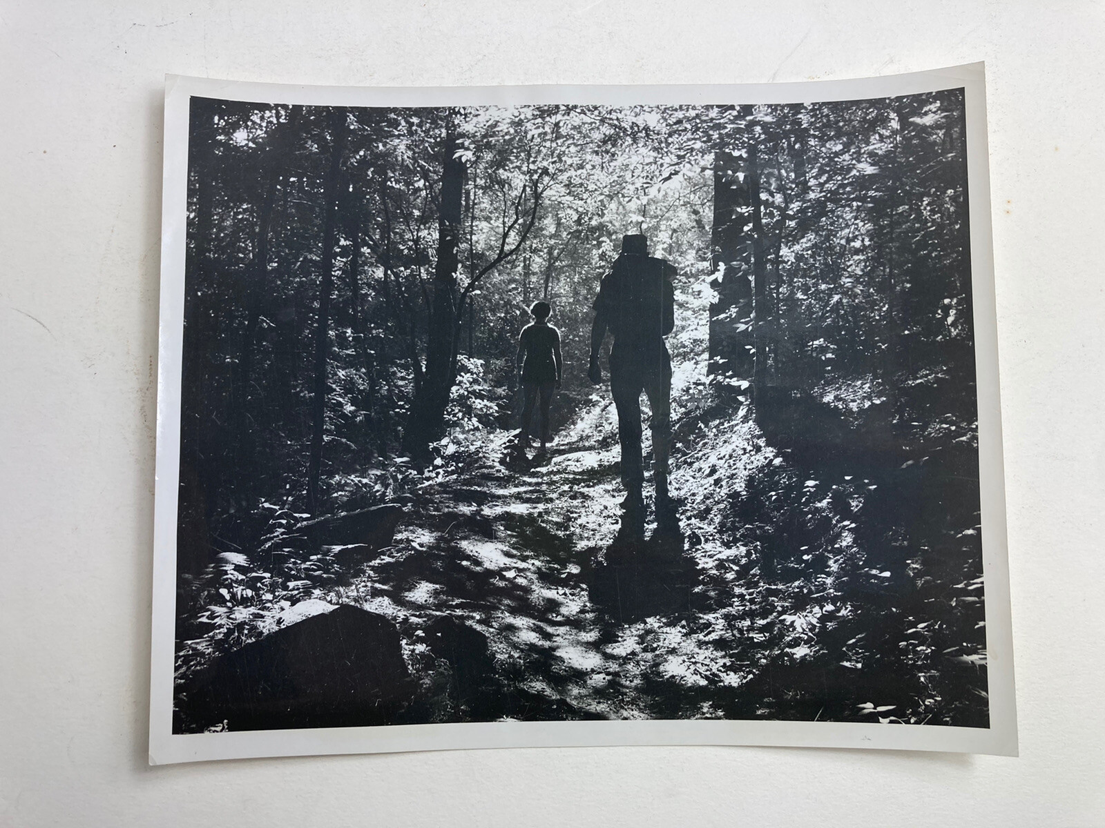 1950s VINTAGE PHOTOGRAPH JOYCE KILMER FOREST NORTH CAROLINA ABSTRACT SILHOUETTE