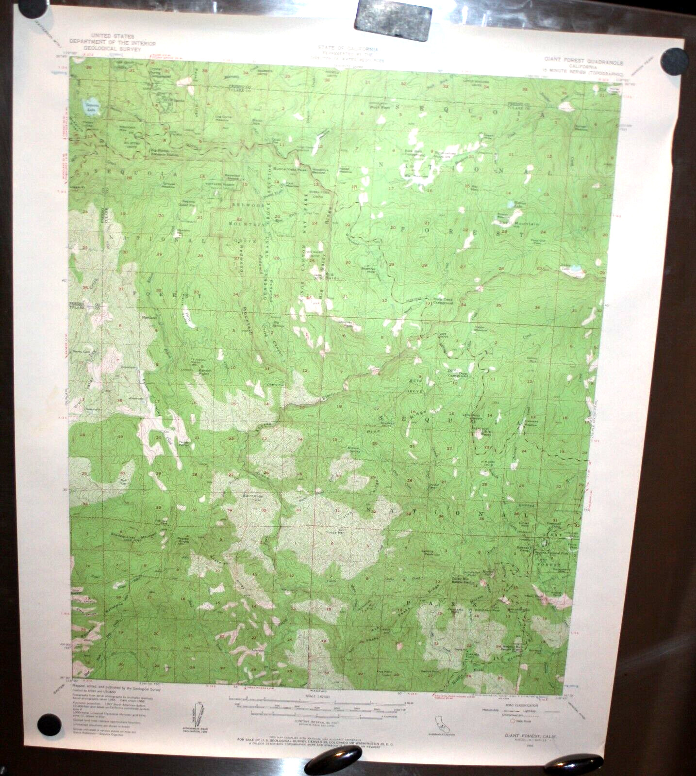 Vintage 1956 US Forest Service Map-GIANT FOREST California 17×21