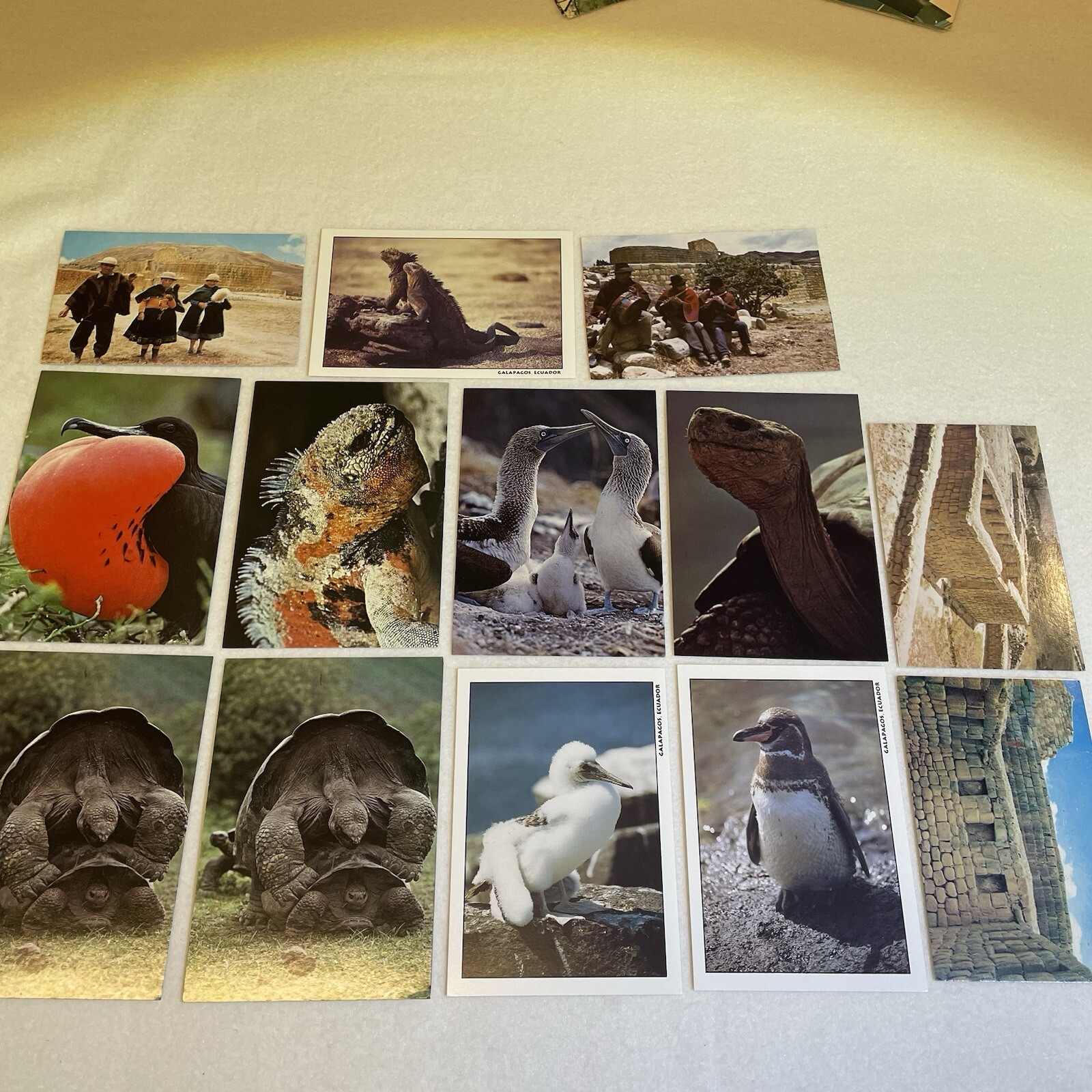 Vintage Postcards Lot 350+ 80s 90s International States Collection Art Vacation