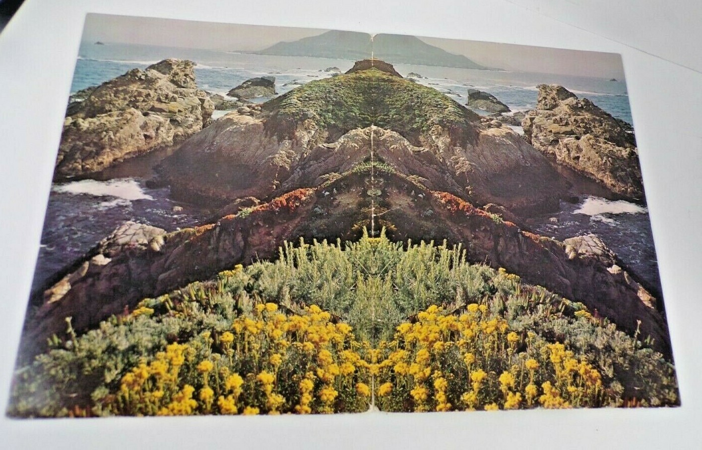 Vintage Mead Portfolio Paper Folder 33-2802 Friends of the Earth David Brower